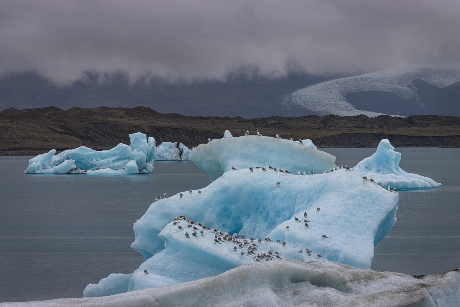 Laguna Jökulsárlón