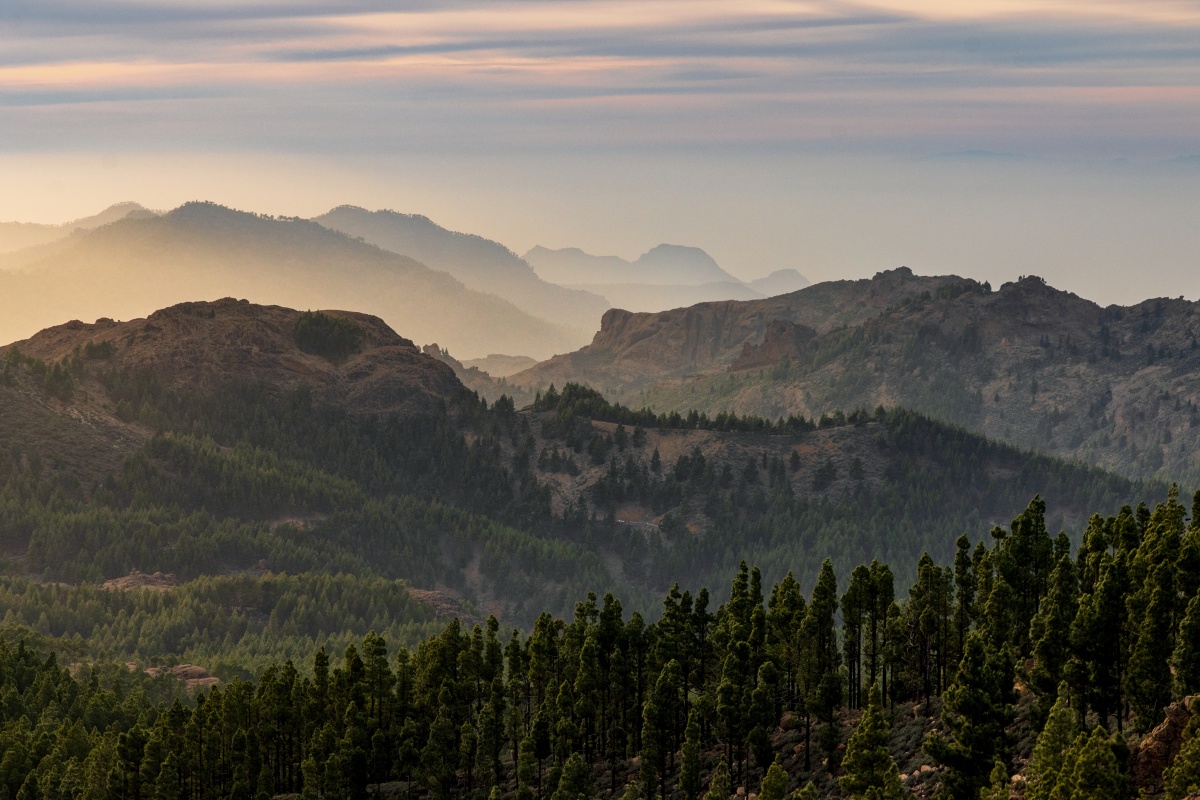 Pico de las Nieves