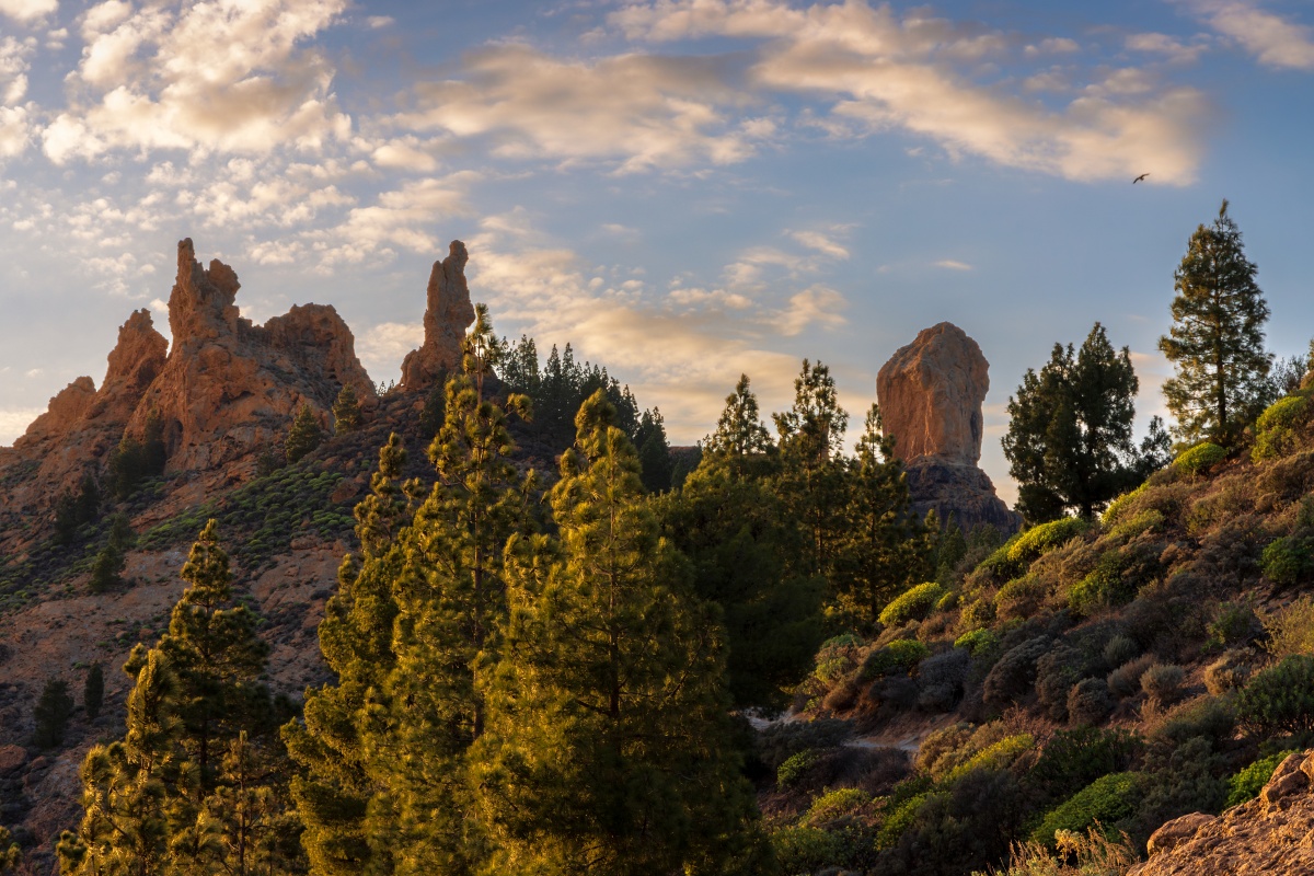 Roque Nublo