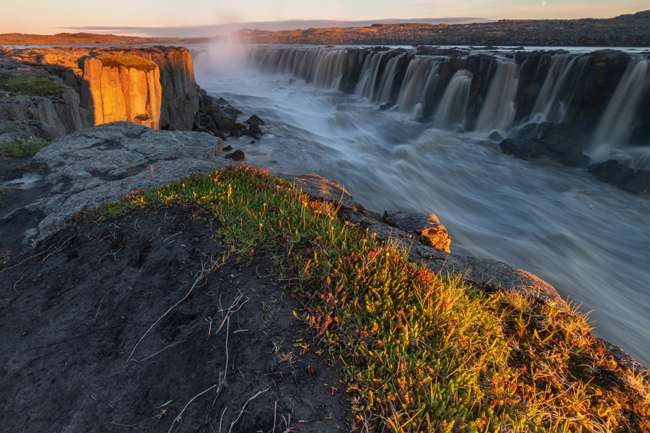 Selfoss