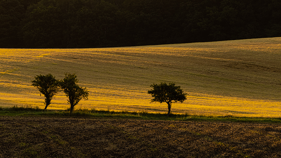 Trojice