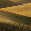 Dunas de Maspalomas